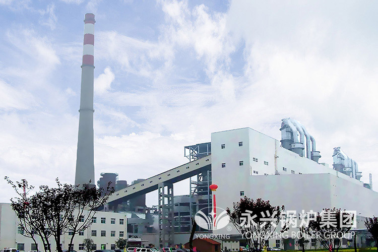 阿拉腾矿业开发有限公司14吨循环流化床锅炉